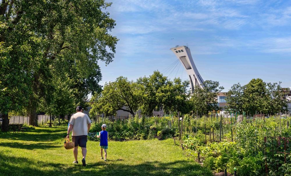 Adult and child walking through sunny community garden with Olympic Tower visible in background at Warwick Le Crystal Montreal