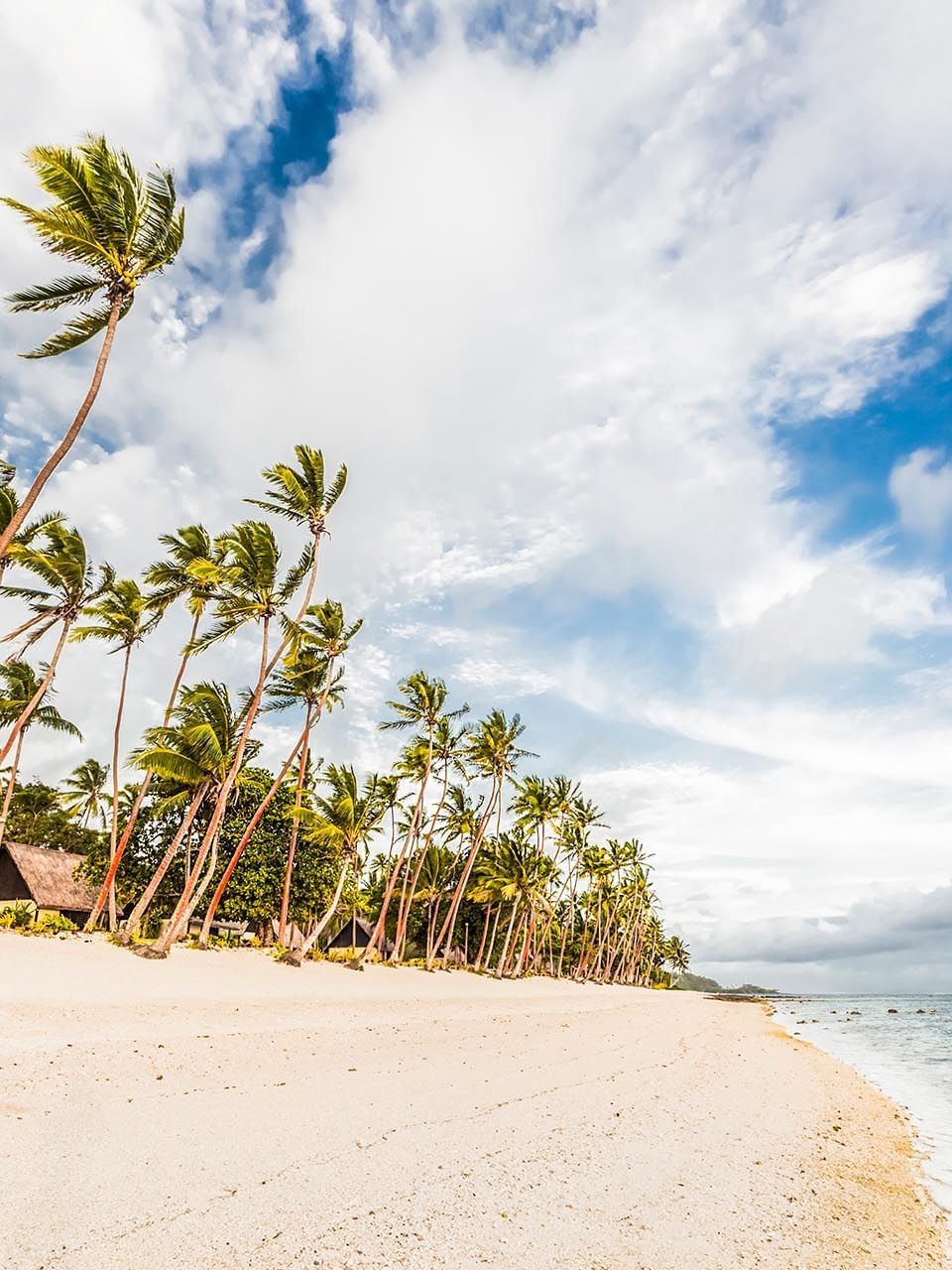 Long stretch of white sand beach by a row of tall palm trees under a bright cloudy sky at Tambua Sands Beach Resort