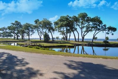 Tranquil pond with a small wooden footbridge, surrounded by lush live oak trees with ocean view at Centennial Plaza Resort