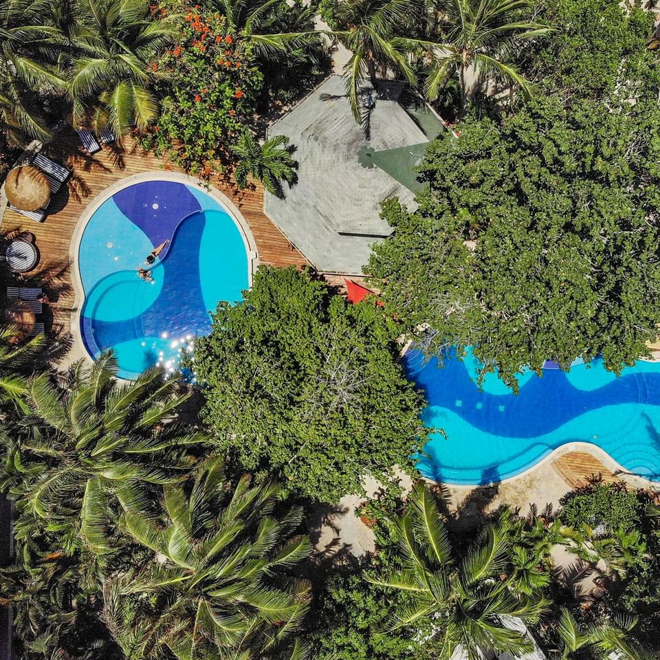 Aerial view of the outdoor pool area surrounded by trees at Paradise Beach Hotel