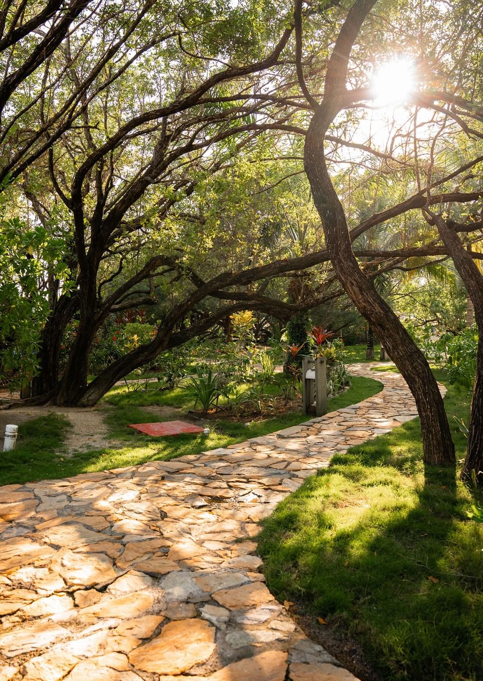 Stone walkway winding through tropical trees and plants at 
Roatan diving resorts Barefoot Cay Resort & Marina