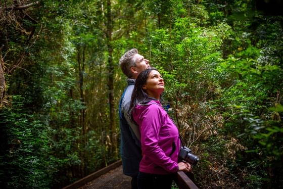 A Couple at the Rainforest near the Strahan Village