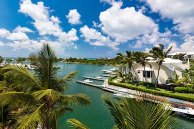 Distant view of a harbor with palm trees in the background and multiple boat docks at Turks and Caicos Island near Zenza Hotel