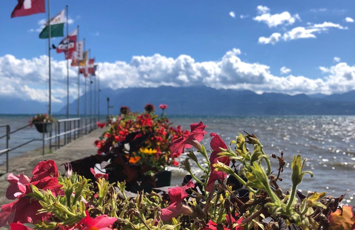 Lake view with colorful flowers in foreground near Starling Hotel Lausanne