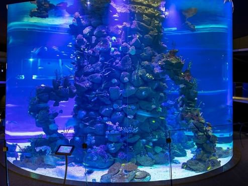 Poema del Mar Aquarium near Design Plus Bex Hotel
