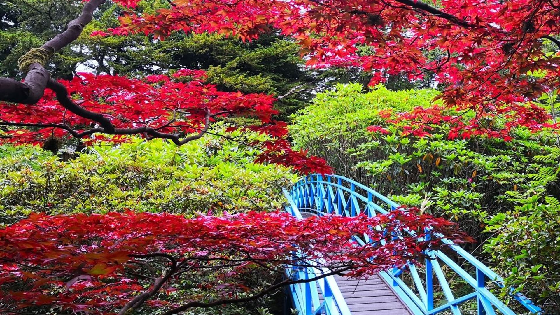Exterior view of Johnston gardens near Village Hotels Aberdeen