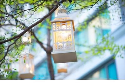 Close-up of a white lantern hanging from a tree branch at MiCasa All Suite Hotel KL