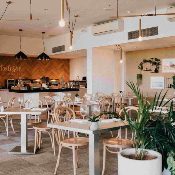 Elegant dining area with modern decor and potted plants at Mercure Charlestown.