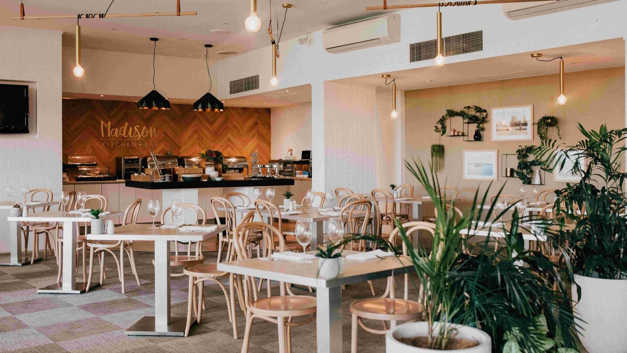 Elegant dining area with modern decor and potted plants at Mercure Charlestown.