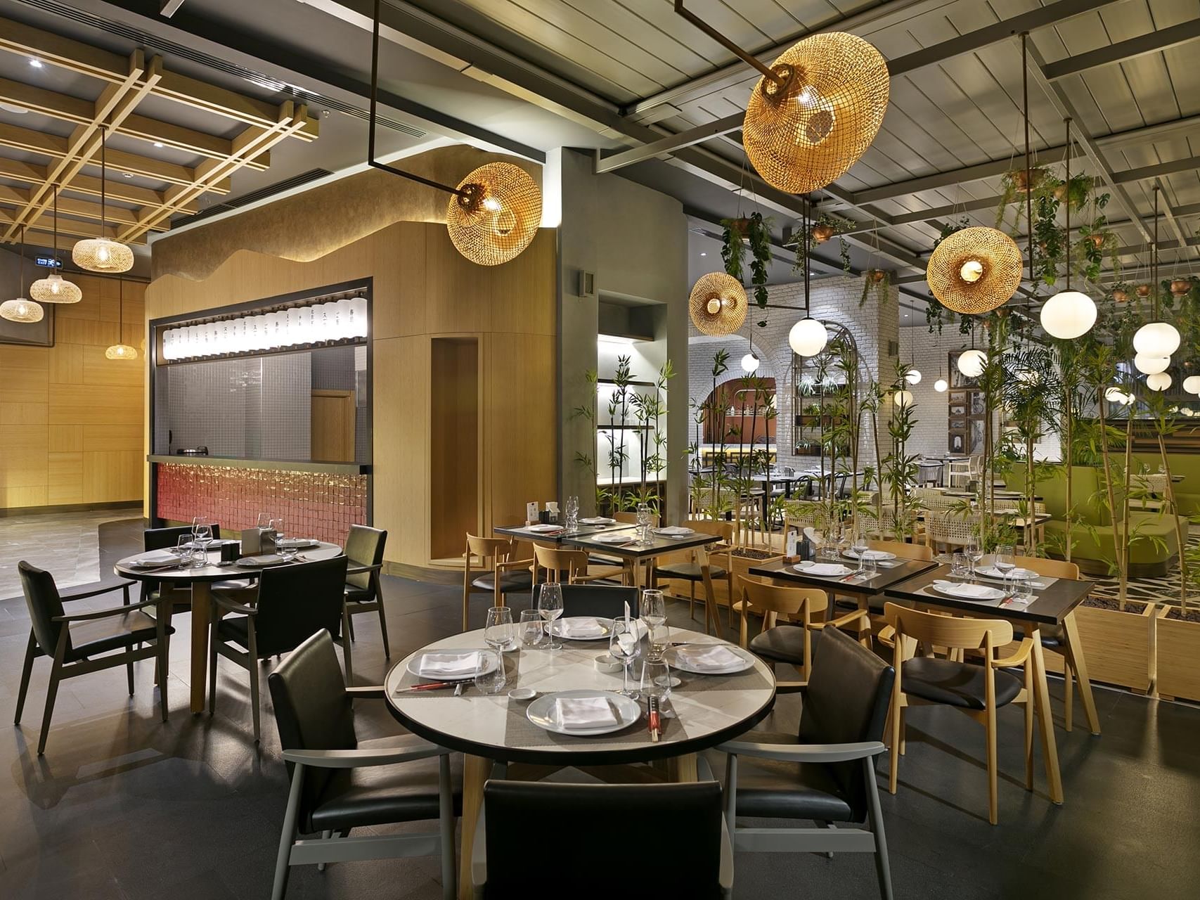 Dining tables arrangement with chairs in Nori Japanese Restaurant at Titanic Deluxe Lara