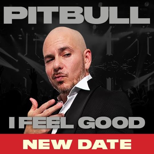 Pitbull in a suit against a dark background