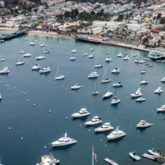 Aerial view of a bay with numerous boats near Catalina Island Company