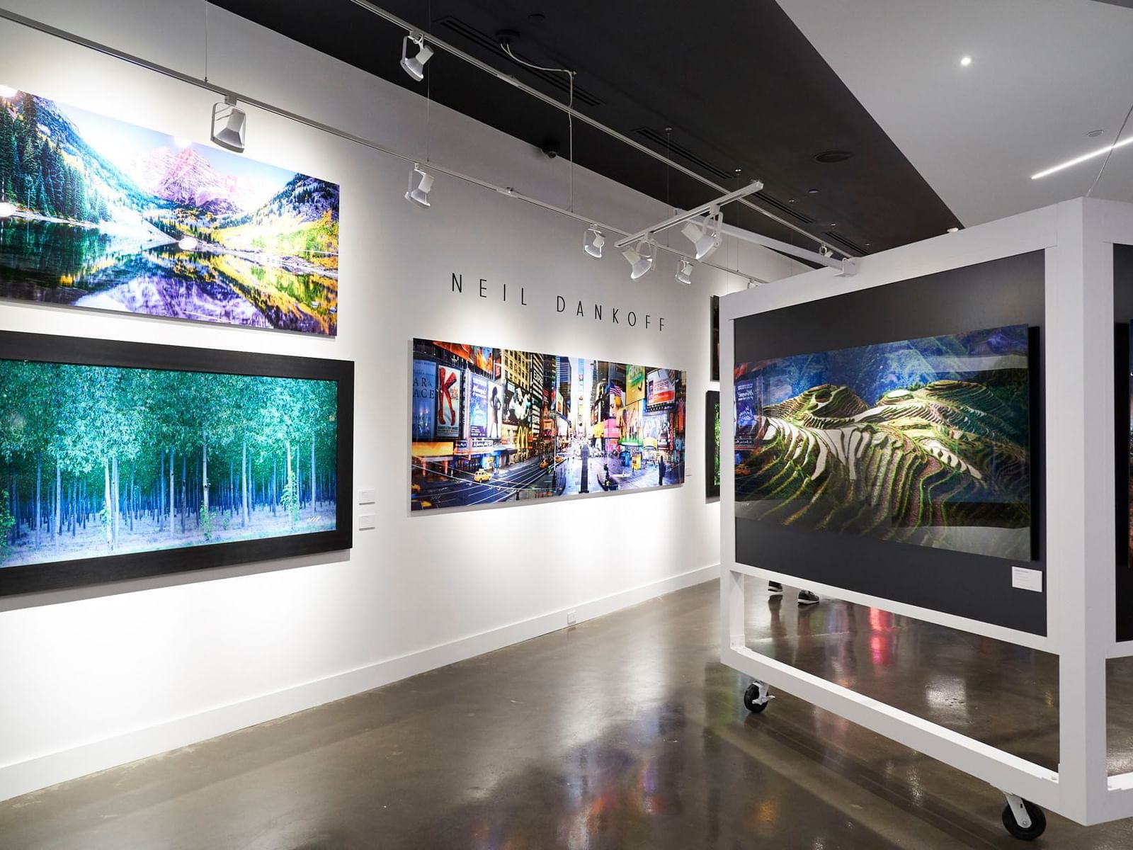 Interior of Kandy Gallery with landscape and city scene photographs on display at Hotel X Toronto