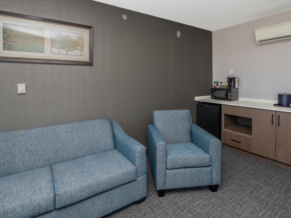 Lounge area with couch and chair.