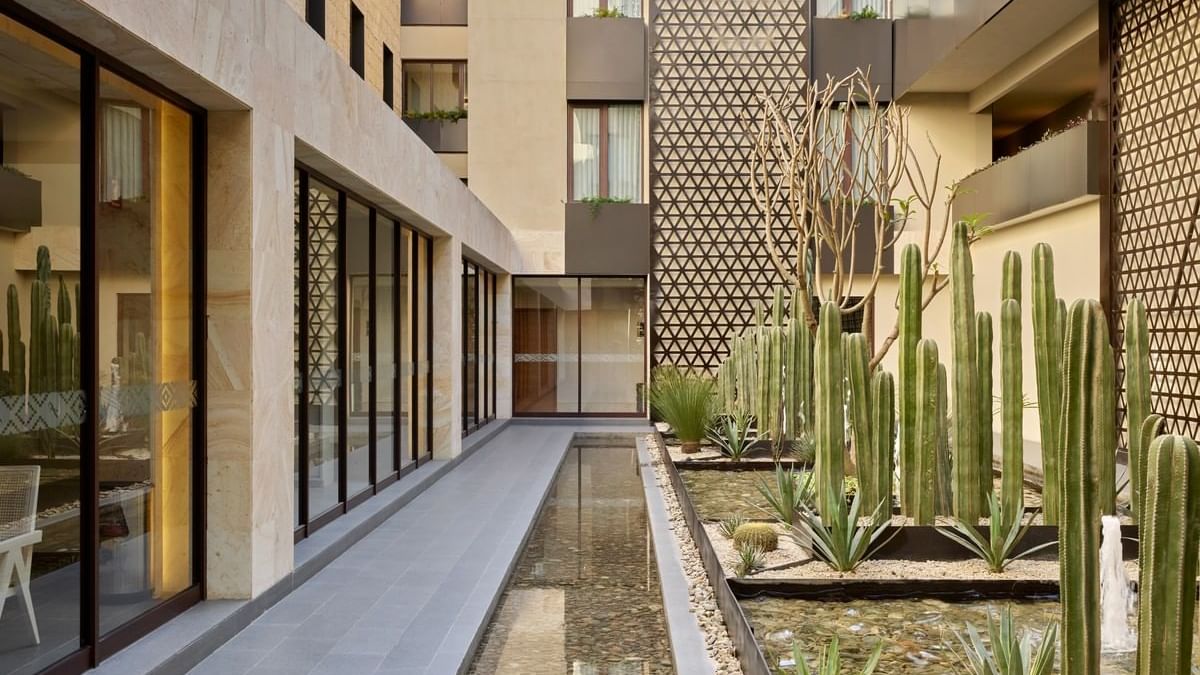 Modern courtyard with tall cacti in planters, framed by glass windows at Grand Fiesta Americana