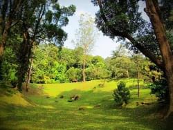 Places of Interest - Penang Botanical Garden