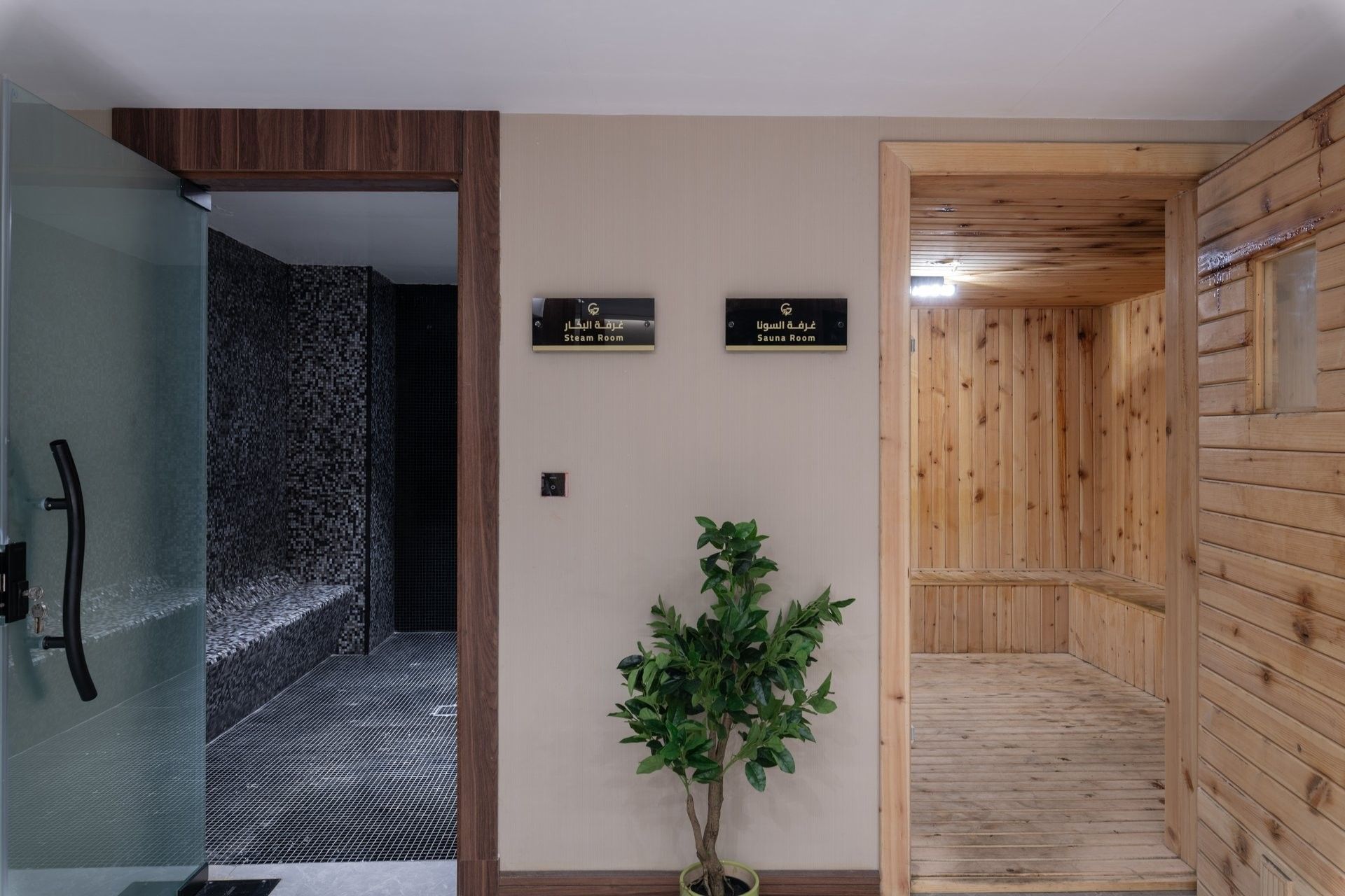 Potted plant by the entrances to a steam room and a sauna room under a plain ceiling at Warwick Al Taif Hotel