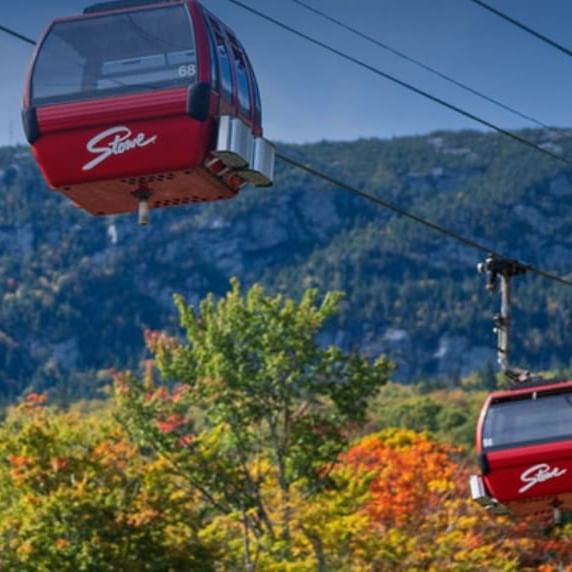 Red cable cars with Stone logo suspended above colorful foliage in mountainous terrain.