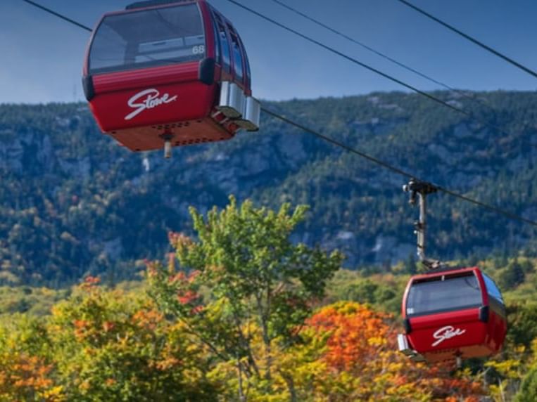 Red cable cars with Stone logo suspended above colorful foliage in mountainous terrain.