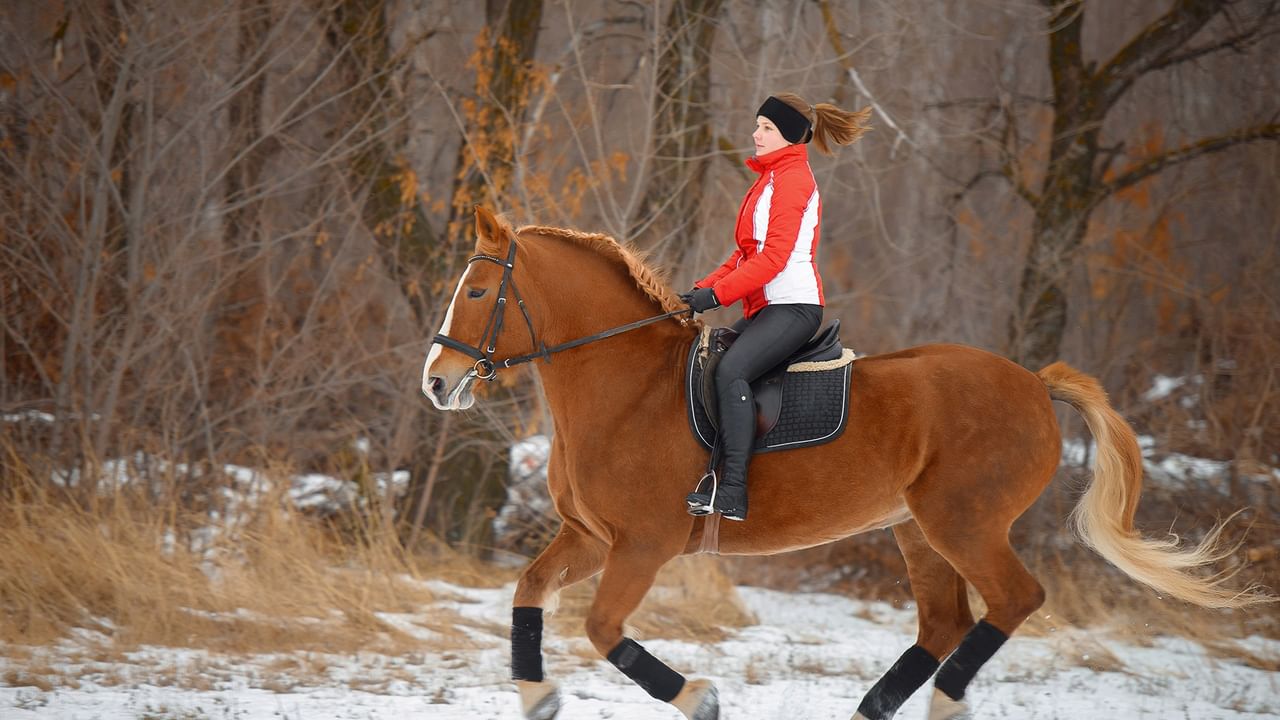 Woman in red jacket riding a chestnut horse through a snowy winter landscape with bare trees in the background.
