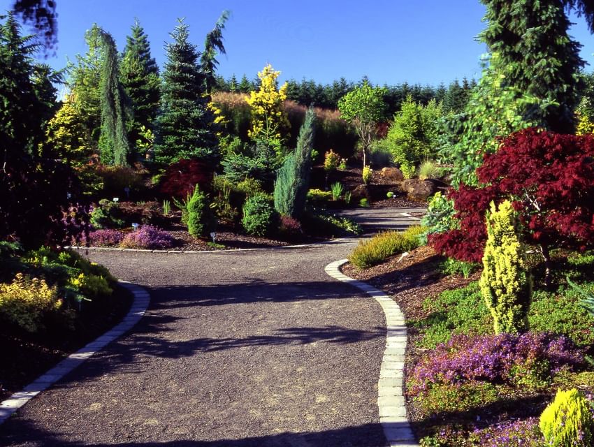 A curving paved path in a lush garden with diverse plants, trees, and shrubs under a clear blue sky.