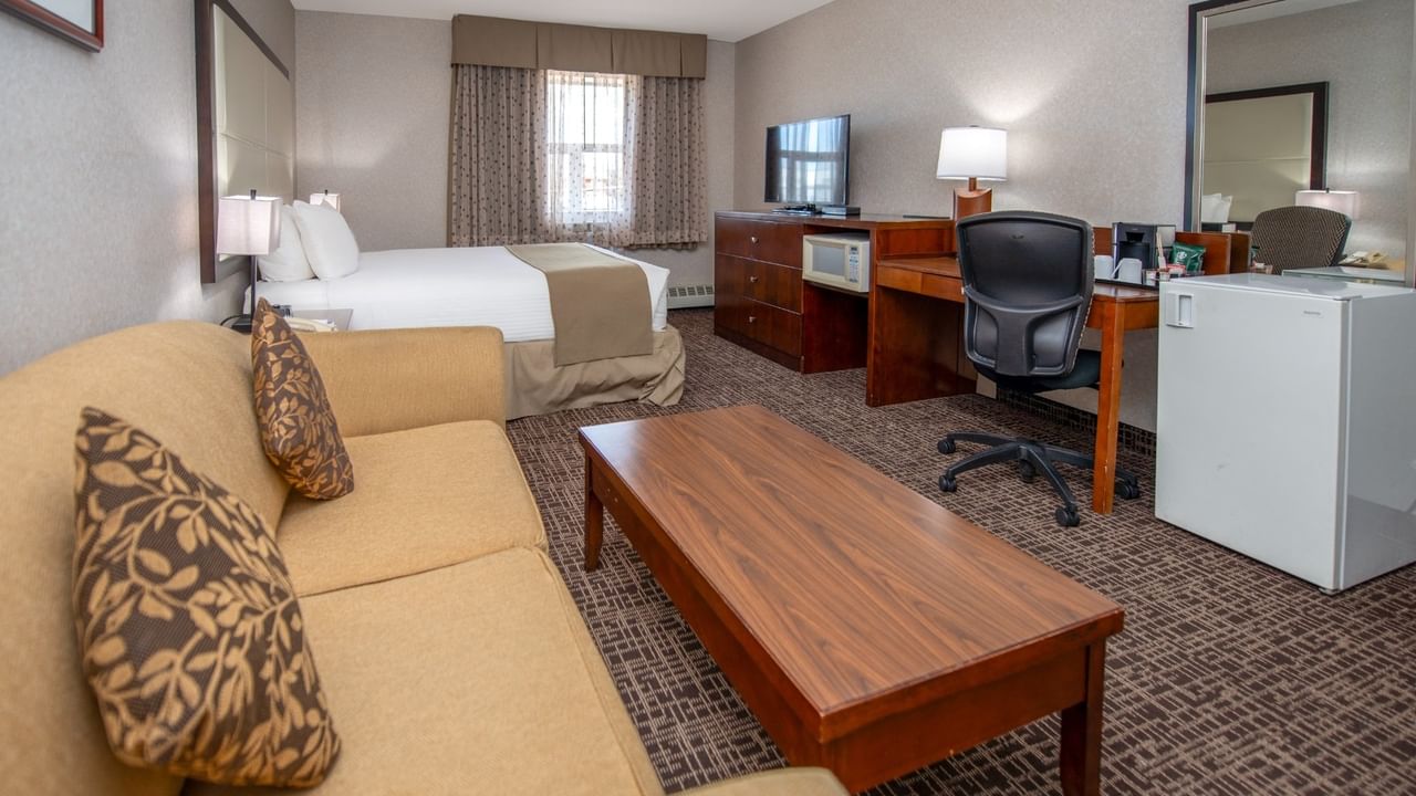 Hotel room with bed, couch, desk, TV, mini-fridge, and carpeted floor.