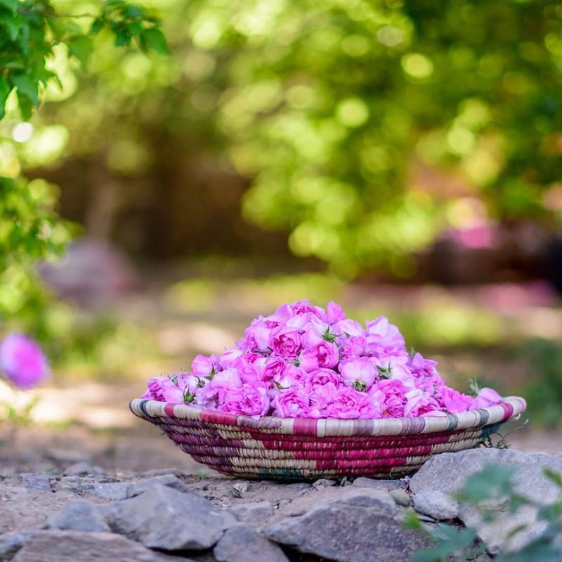 Woven basket of vibrant pink roses resting on a stone path, surrounded by lush greenery near Warwick Hotels & Resorts