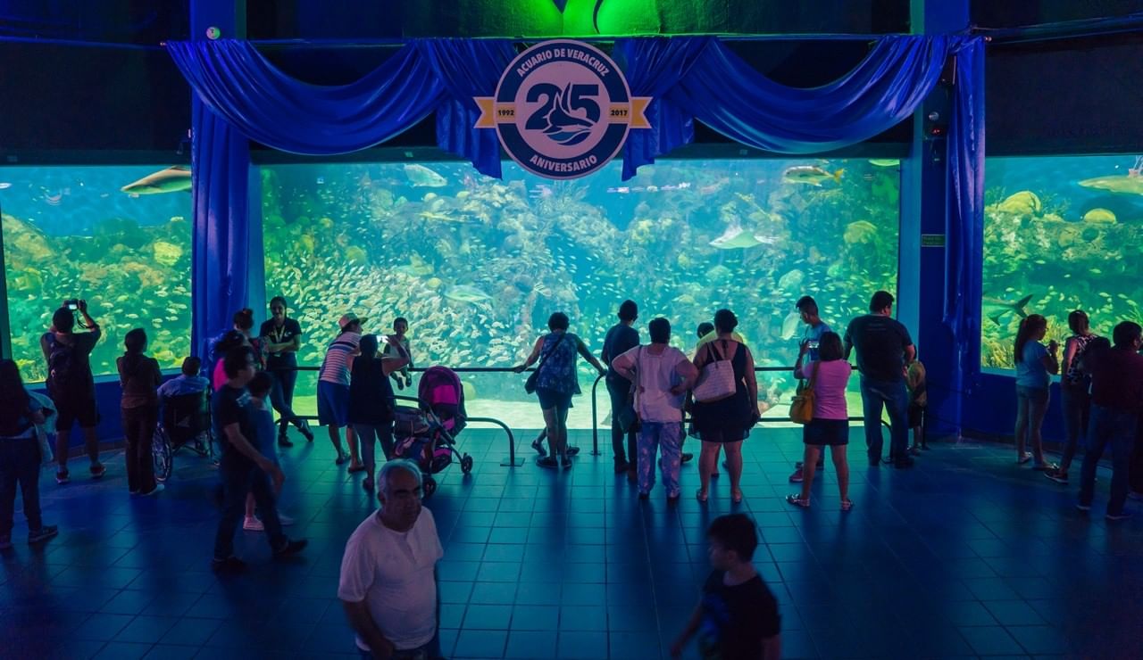 Visitors at the Acuario de Veracruz (Veracruz Aquarium) in Mexico, during its 25th-anniversary celebration near Camino Real Veracruz 