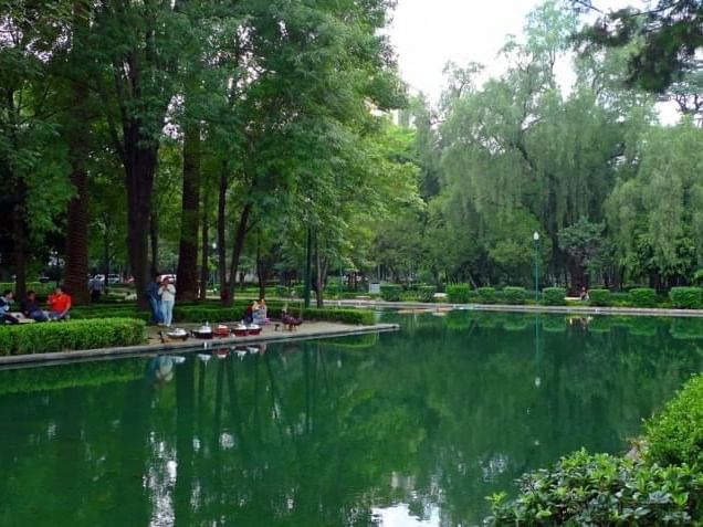 View of Parque Lincoln Lake near Dominion Suites Polanco