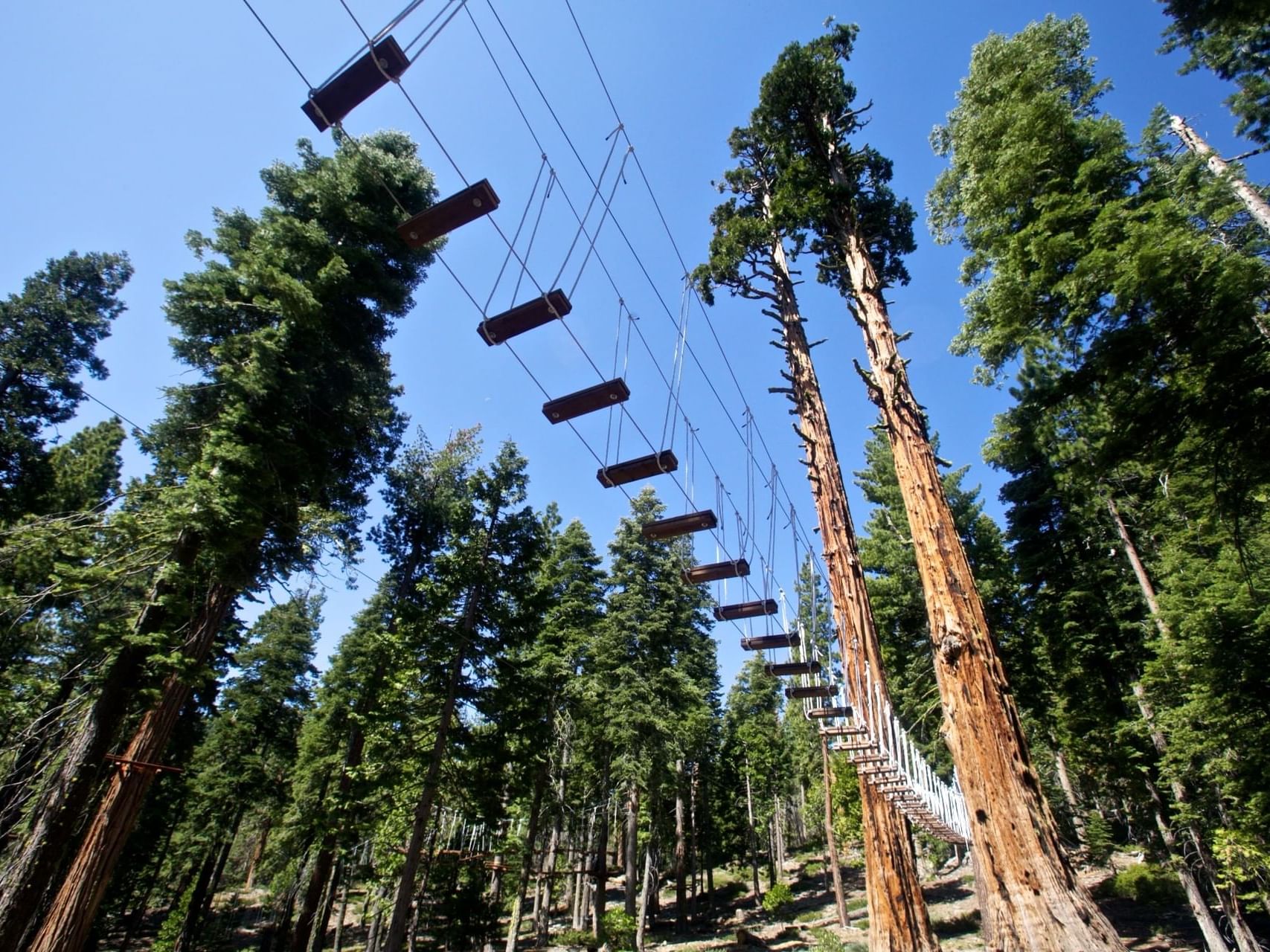 Treetop Adventure Course Granlibakken Tahoe Treetop Adventure Course Granlibakken Tahoe