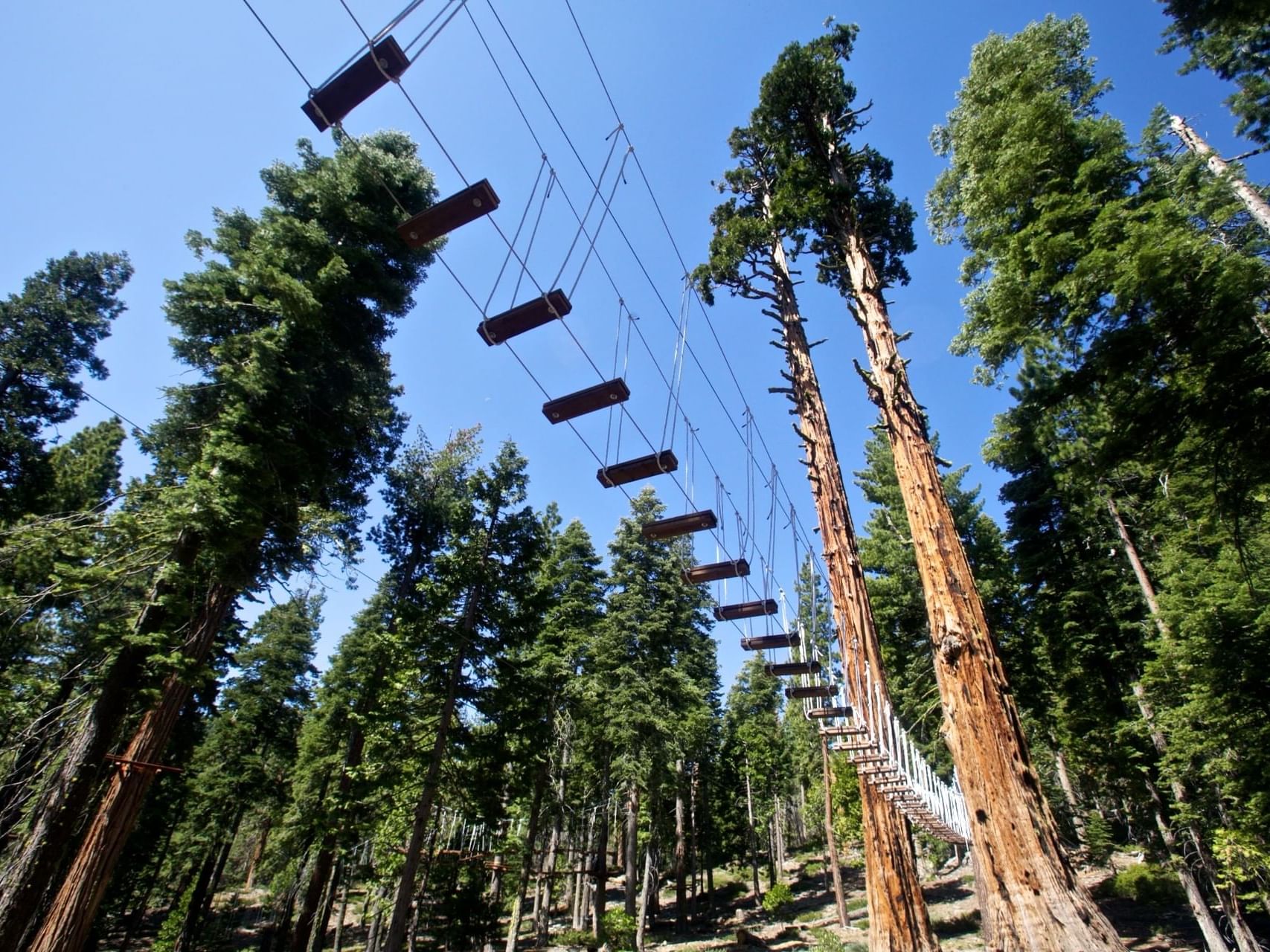 Tahoe Treetop Adventure Parks, Tahoe Treetop Adventure Parks – Tahoe  Treetop Adventure Parks