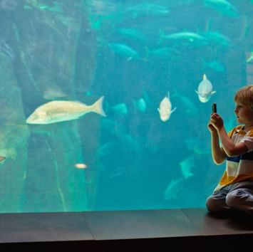 Little kid capturing the fish from a phone at Istanbul Akvaryum near Titanic Port Bakirkoy