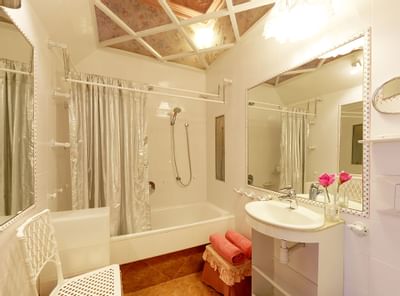 Suite Florida bathroom