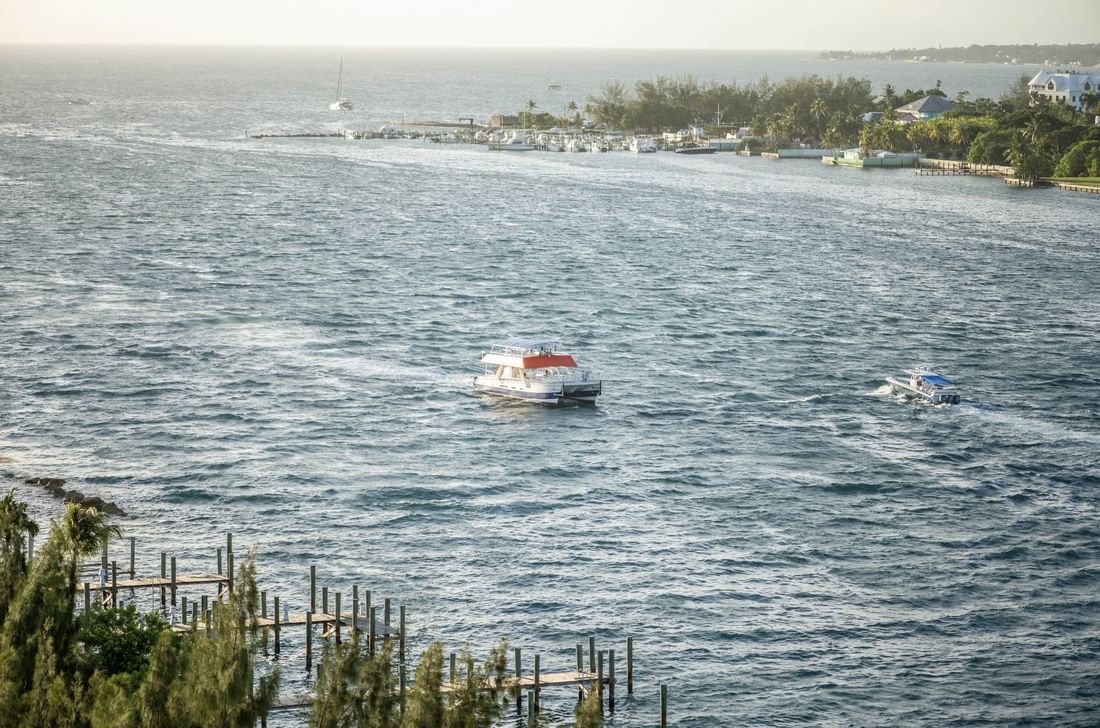 Catamarans moving by the coast under a hazy sky and trees near Warwick Paradise Island Bahamas