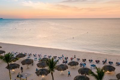 Aerial view of sun loungers by the beach near Amsterdam Manor