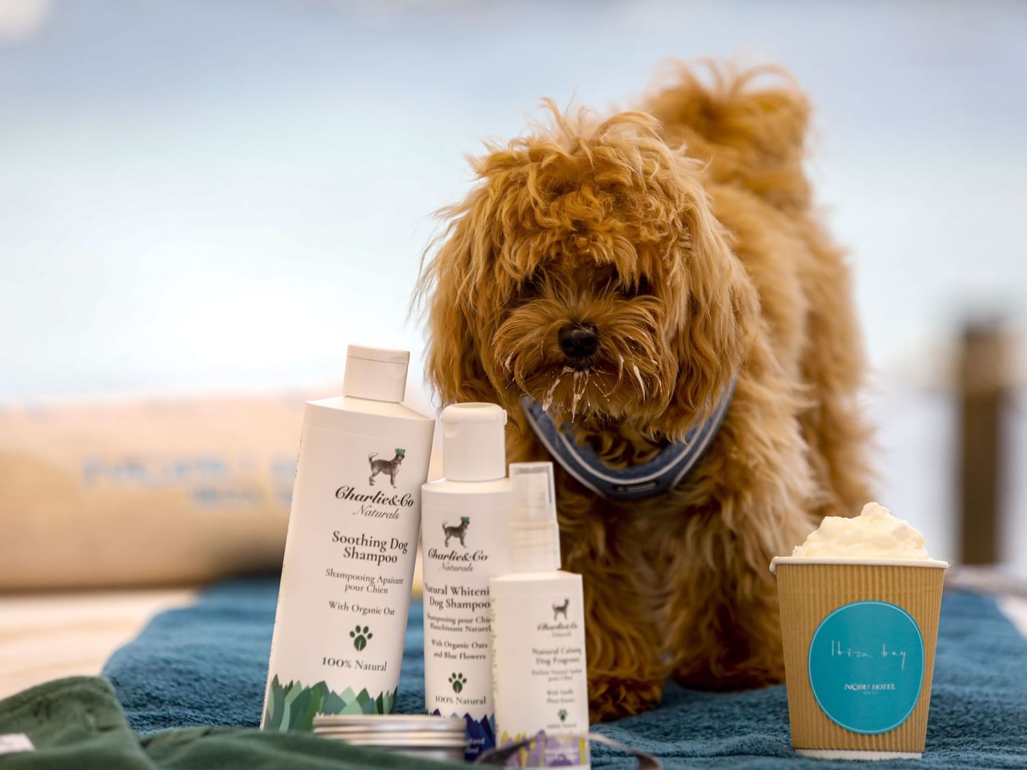 Charlie Spaw en Nobu Hotel Ibiza Bay