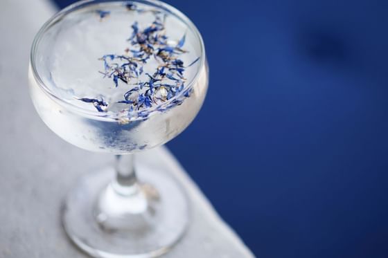 A glass full of cocktail with some blue flakes in it