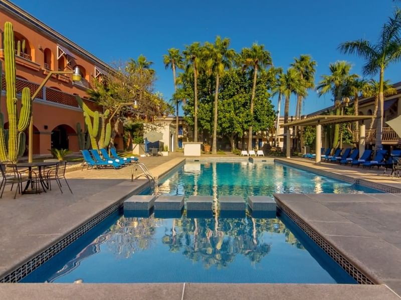 Outdoor swimming pool surrounded by palm trees, blue lounge chairs, and cacti at Fiesta Inn