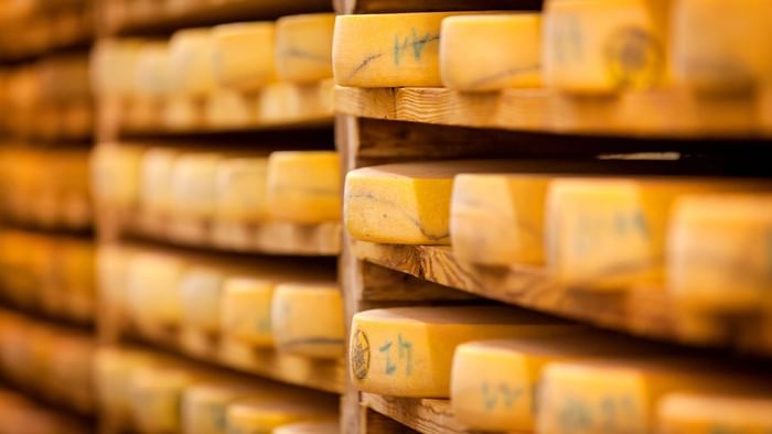 Chees at Gaugry Fromagerie cheese factory near Originals Hotels