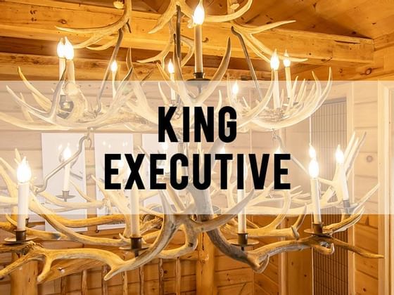 King Executive Room category header at Retro Suites Hotel