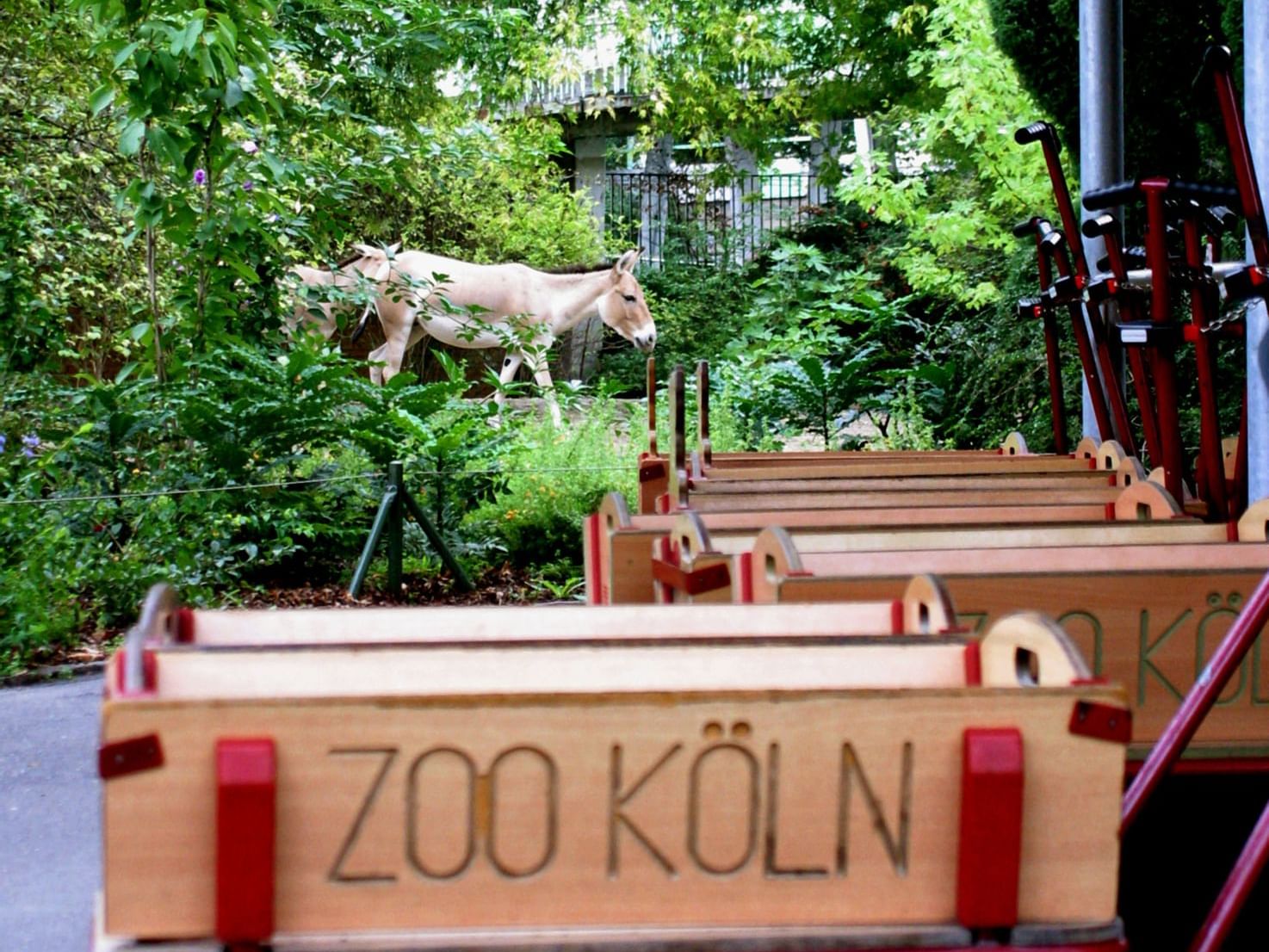 Feed boxes with Zoo Koln's name on them, Classic Hotel Harmonie
