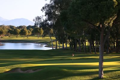 Titanic Golf Club tree and lake view