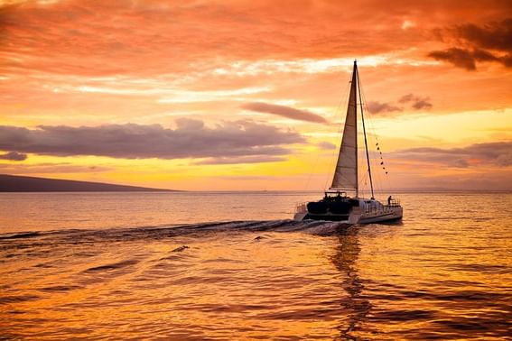 Close-up of a boat at Ka'anapali Beach Hotel Hawaii