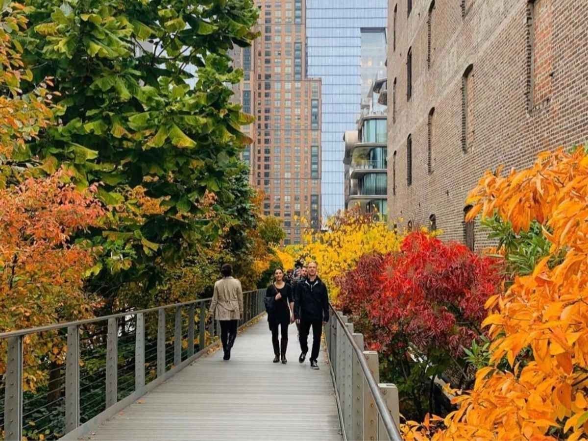 NYC's Highline in Autumn