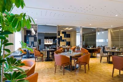 Citrus Restaurant at Grayton Hotel Dubai