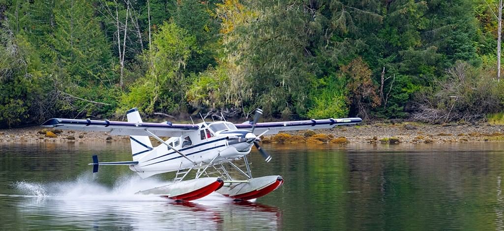 a seaplane landing on a lake surrounded by forest