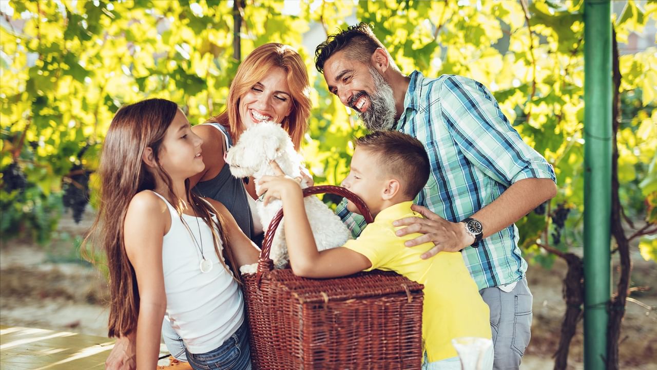 Family with a dog in a basket in a vineyard with Members Stay Longer & Save offer.