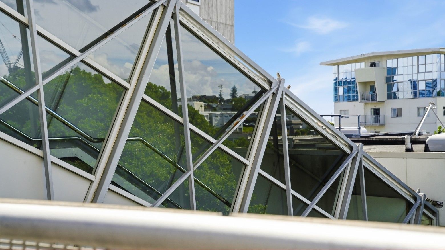 Glass facade and steel structure at Student Living Auckland Anzac.