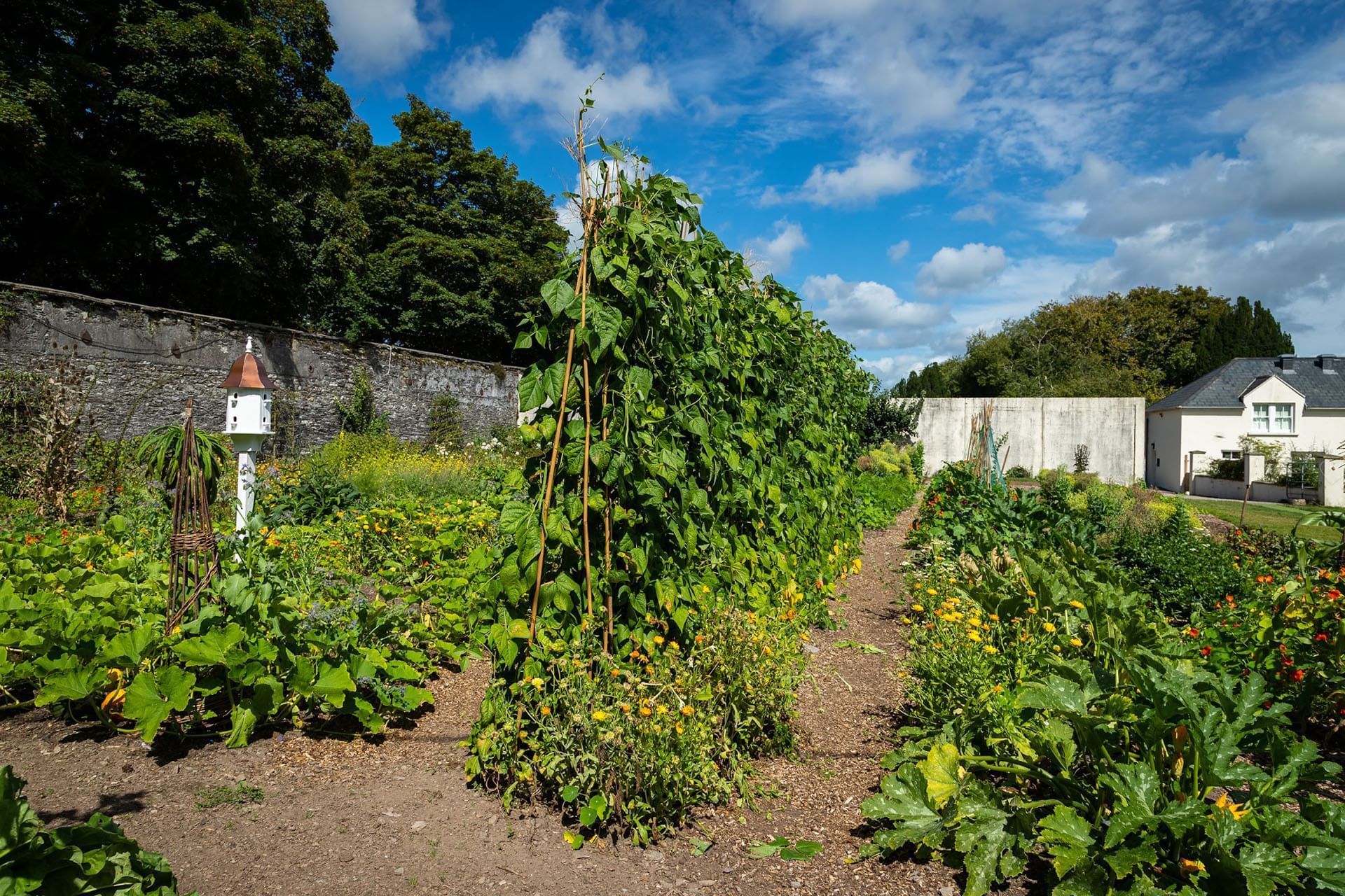 Liss Ard Estate | Hotel in West Cork