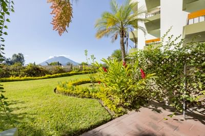 Garden view from a terrace